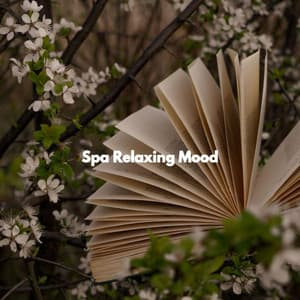 Spa Relaxing Mood - Summer Chilling Jazz