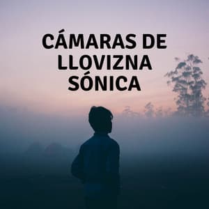 Cámaras De Llovizna Sónica - El Canal del Clima