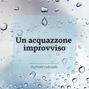 Un acquazzone improvviso - rumore naturale - Pioggia Giardino