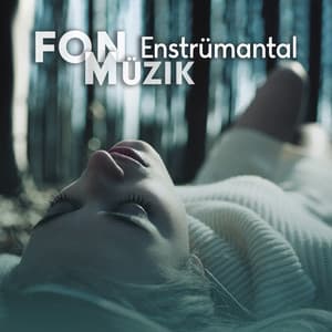 Fon Enstrümantal Müzik - Bebek Uyku Ninnileri