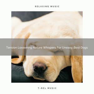 Tension Loosening Nature Whispers For Uneasy, Best Dogs - Dog Relax