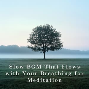 Slow BGM That Flows with Your Breathing for Meditation - Relax α Wave