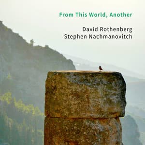 From This World, Another - David Rothenberg