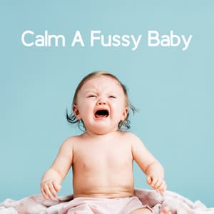 Calm A Fussy Baby - Giulia Tylor