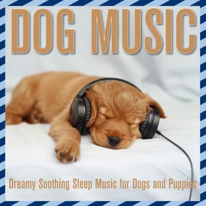 Dog Music: Dreamy Soothing Sleep Music for Dogs and Puppies - Relaxmydog