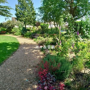 木々＆音楽 - The Happy Jazz Lounge