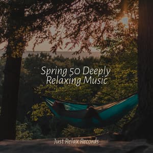 Spring 50 Deeply Relaxing Music - ASMR HD