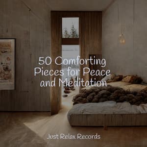 50 Comforting Pieces for Peace and Meditation - Thunderstorm Sound Bank