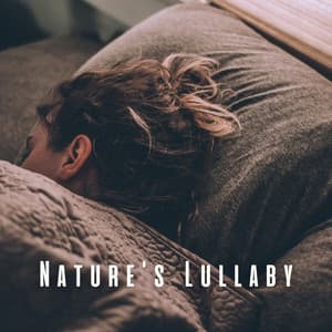 Nature's Lullaby: Blissful Chill Sounds for Sleep - Nature & Rainforest Sounds Collective