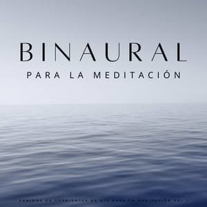 Binaural: Sonidos De Corrientes De Río Para La Meditación Vol.1 - The Unexplainable Store