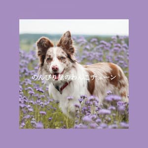 のんびり屋のわんこチューン - Chill Out Jazz Radio