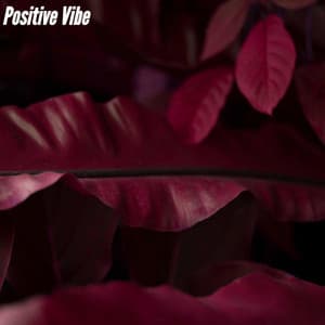 Positive Vibe - Bossa Nova Project