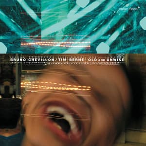 Old and Unwise - Bruno Chevillon