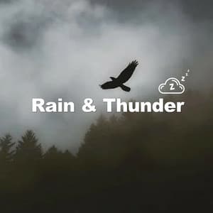 Country Rain And Thunder - Rain & Thunder