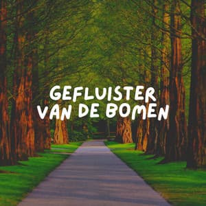Gefluister Van de Bomen - Rustgevende Geluiden