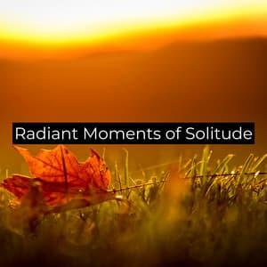 Radiant Moments of Solitude - The Dreaming Academy