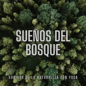 Sueños del Bosque: Sonidos de la Naturaleza con Yoga - La fuga del bosque
