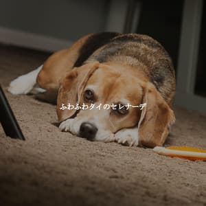 ふわふわタイのセレナーデ - Cheerful Instrumental Cafe Jazz