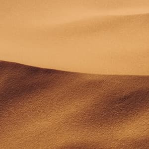 01 Noise Machine: Equanimity - White Noise Therapy