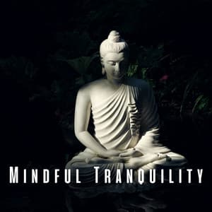 Mindful Tranquility: Meditation with Ambient Music - Dream Meditation