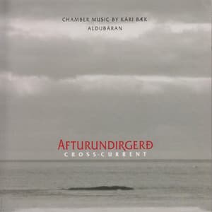 Afturundirgerð - Kári Bæk