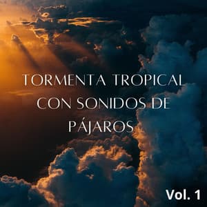Tormenta Tropical Con Sonidos De Pájaros Vol. 1 - Tormenta Jamaicana