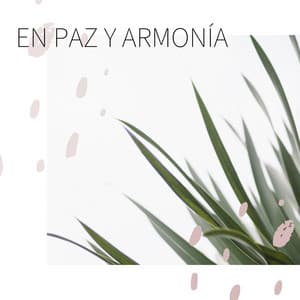 En Paz y Armonía: 20 Canciones para el Equilibrio y la Relajación Mental y Corporal - Serenidad Alves