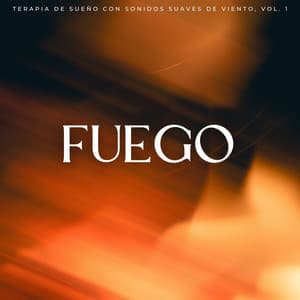 Fuego: Terapia De Sueño Con Sonidos Suaves De Viento, Vol. 1 - Sonidos De Fuego