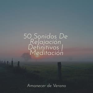 50 Sonidos De Relajación Definitivos | Meditación - Guided Meditation