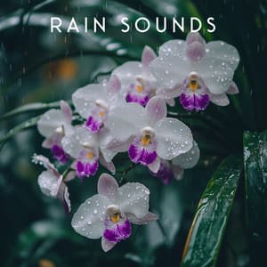 Silent Storm Hum - Rain Sounds For Sleep
