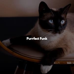Purrfect Funk - Jazz Music for Sleeping