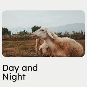 Day and Night - Lily's Corner