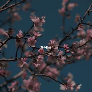 葉の動き - Bossanova Jazz