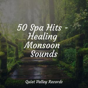 50 Spa Hits - Healing Monsoon Sounds - Rain Forest FX
