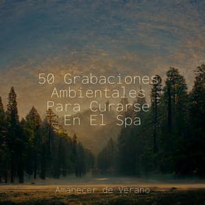 50 Grabaciones Ambientales Para Curarse En El Spa - Rumbas de España