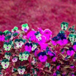 Bgm for Working Points - Lofi Beats for Work