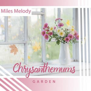 Chrysanthemums Garden - Miles Melody