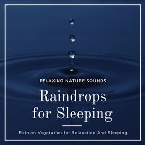 Raindrops for Sleeping: Relaxing Nature Sounds, Rain on Vegetation for Relaxation And Sleeping - Healing Markrain