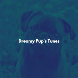 Dreamy Pup's Tunes - Musica del lobby del Hotel