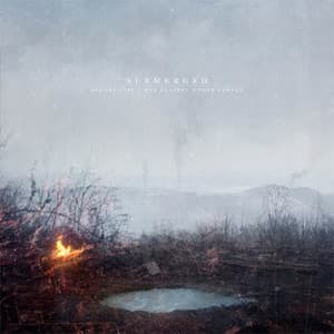 Before Fire I Was Against Other People - Submerged