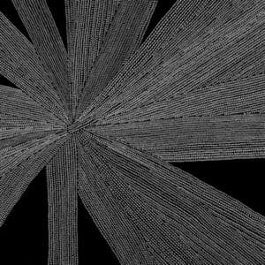 Solace of the Mind - Amina Claudine Myers