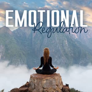 Emotional Regulation - David Kernes