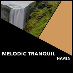 Melodic Tranquil Haven - Reiki Collective