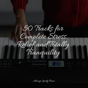 50 Tracks for Complete Stress Relief and Totally Tranquility - Klassisk Musik Orkester
