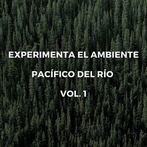 Maravilloso Ambiente De Río Invernal Vol. 1 - Sonidos del río