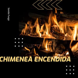 Chimenea Encendida - Prince Sereno