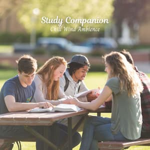 Study Companion: Chill Wind Ambience - ASMR Denmark