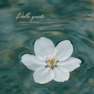 Dalla quiete nasce la chiarezza - Relax musica zen club