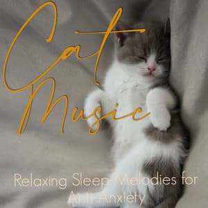 Cat Music - Relaxing Sleep Melodies for Anti-Anxiety - Cat Music Therapy