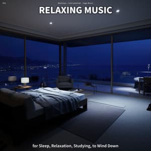 #01 Relaxing Music for Sleep, Relaxation, Studying, to Wind Down - Wellness